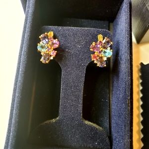 Stauer Womens Over The Rainbow Earrings